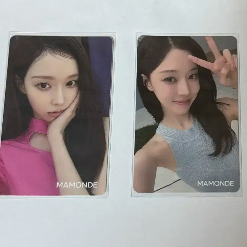 에스파 윈터 포카 일괄