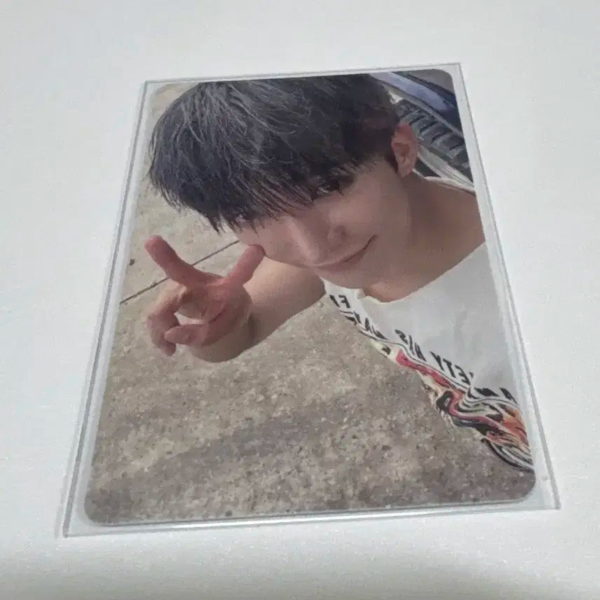 세븐틴 회장한정 위버스 도쿄 도겸 포카 양도 라잇히어 포토카드