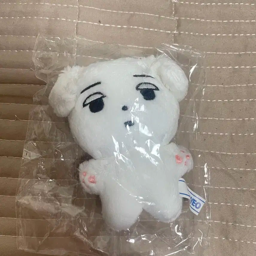 에스파 윈터 구버전 직직이 미개봉