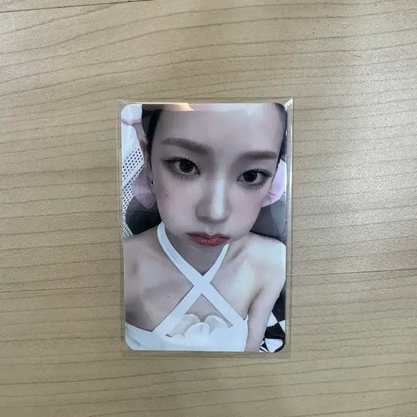 카리나 포토카드