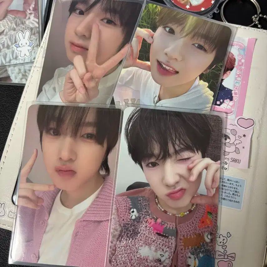 엔시티위시 사쿠야 포카 스테디 일괄