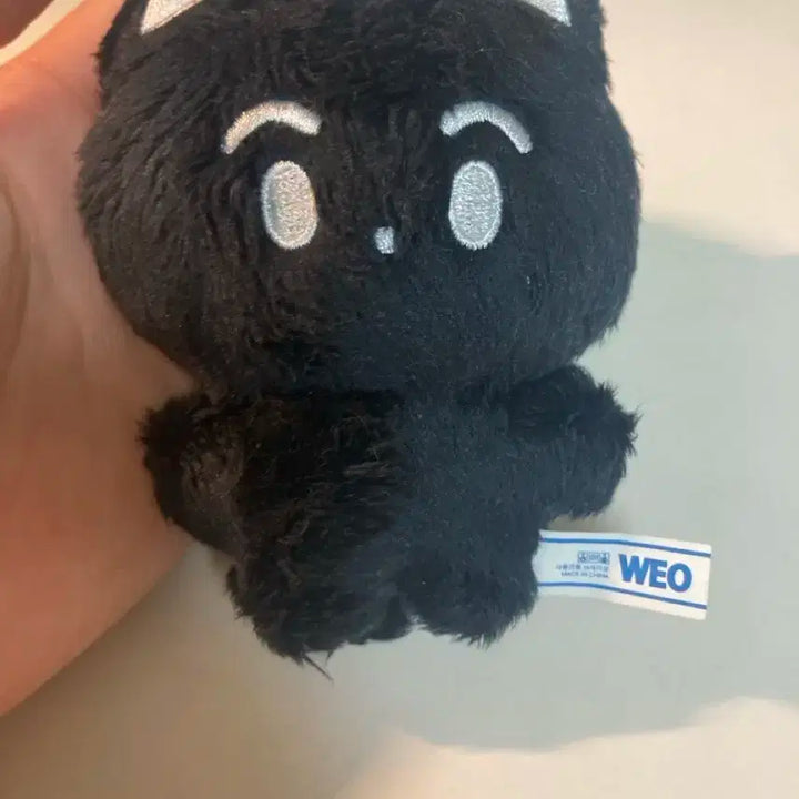 엔시티 마크 인형 애옹냥