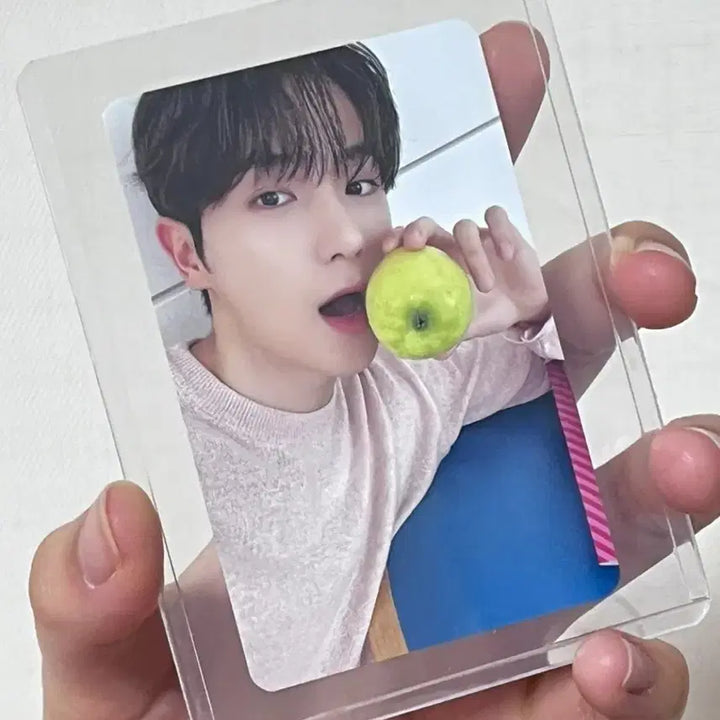 더보이즈 현재 한정포카