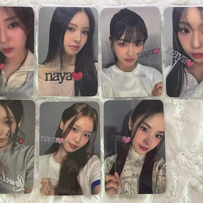 이즈나 얼리버드 공식 팬클럽 포카 일괄양도해요 나야 포토카드