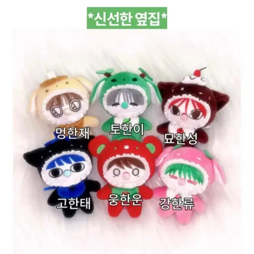 선착 특전 최저가) 보넥도 신선한옆집 고한태 태산 10cm 속성 인형