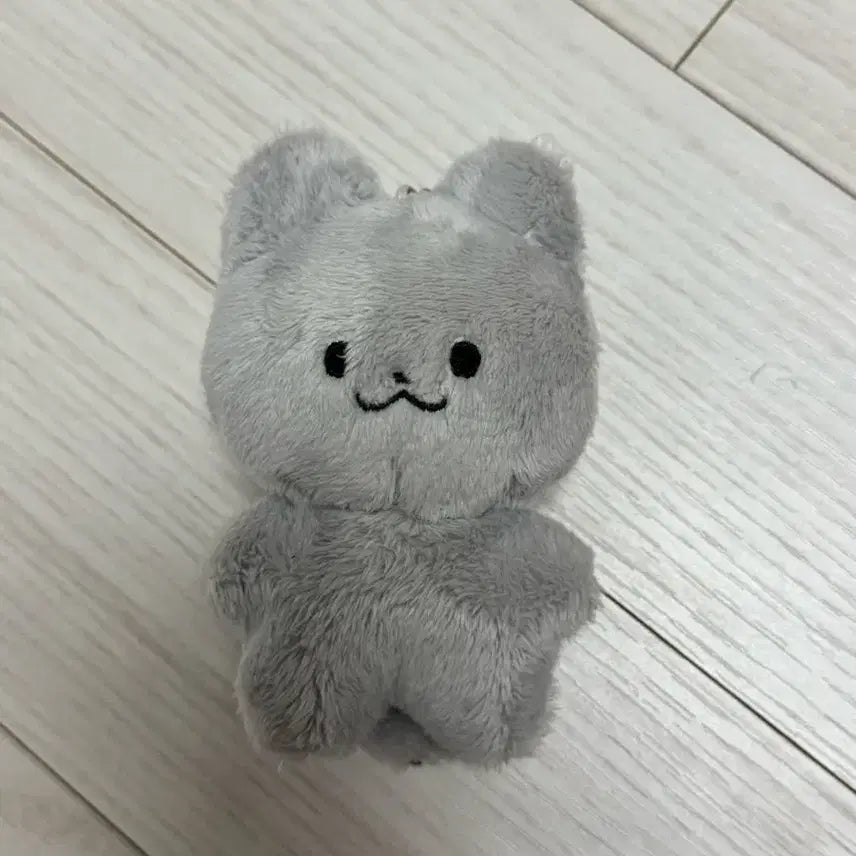 더보이즈 주연 인형 쥬냥이 양도