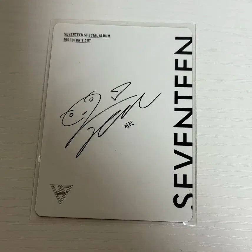 정한 세븐틴 DIRECTORS CUT