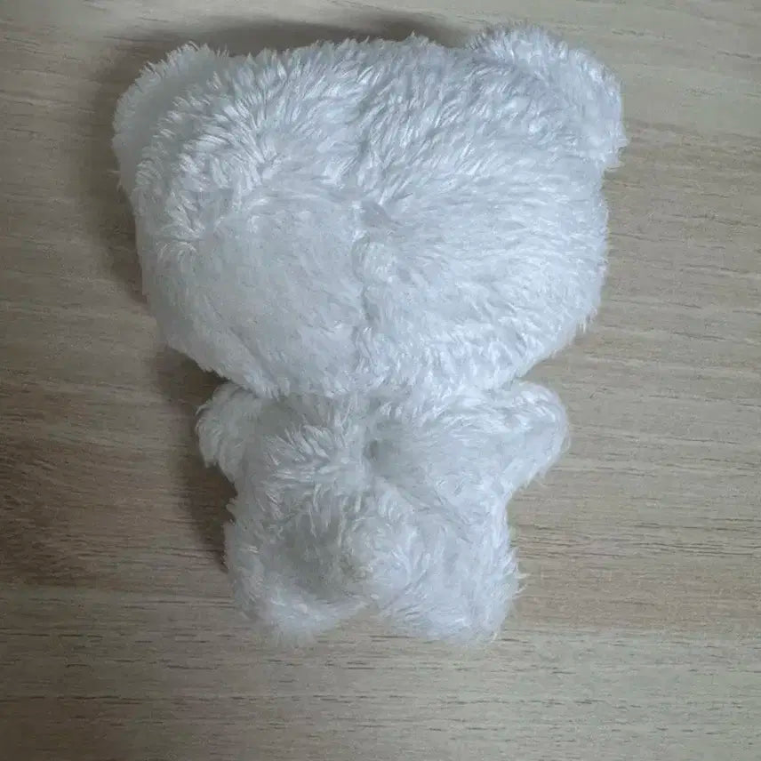 에스파 윈터 쩡티쥬