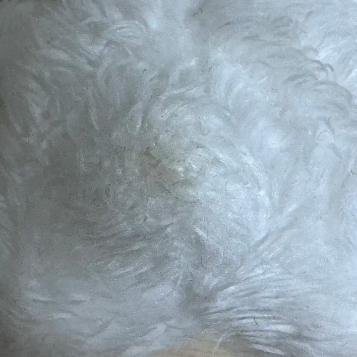 에스파 윈터 쩡티쥬