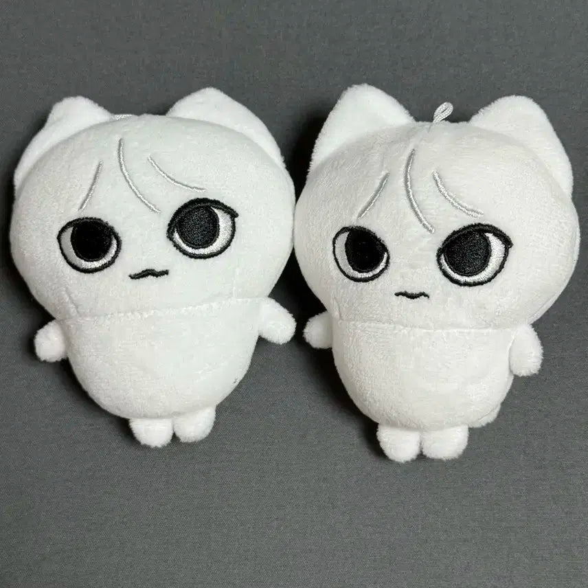 보넥도 성호 인형 호쪼그 일괄 양도