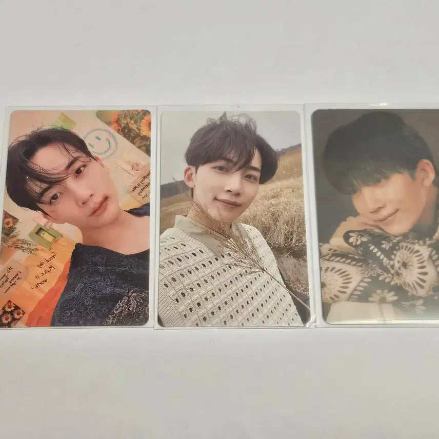 face the sun 페더썬 위버스반 정한 양도