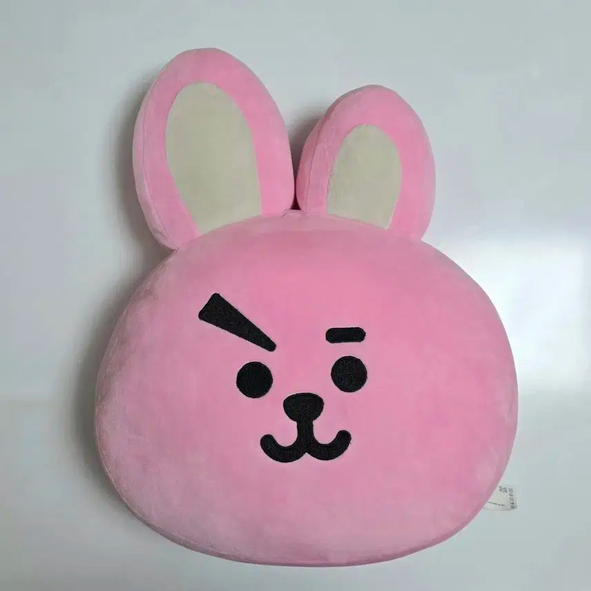 BT21 쿠키 30cm 쿠션 인형 방탄 정국 방탄소년단 bts