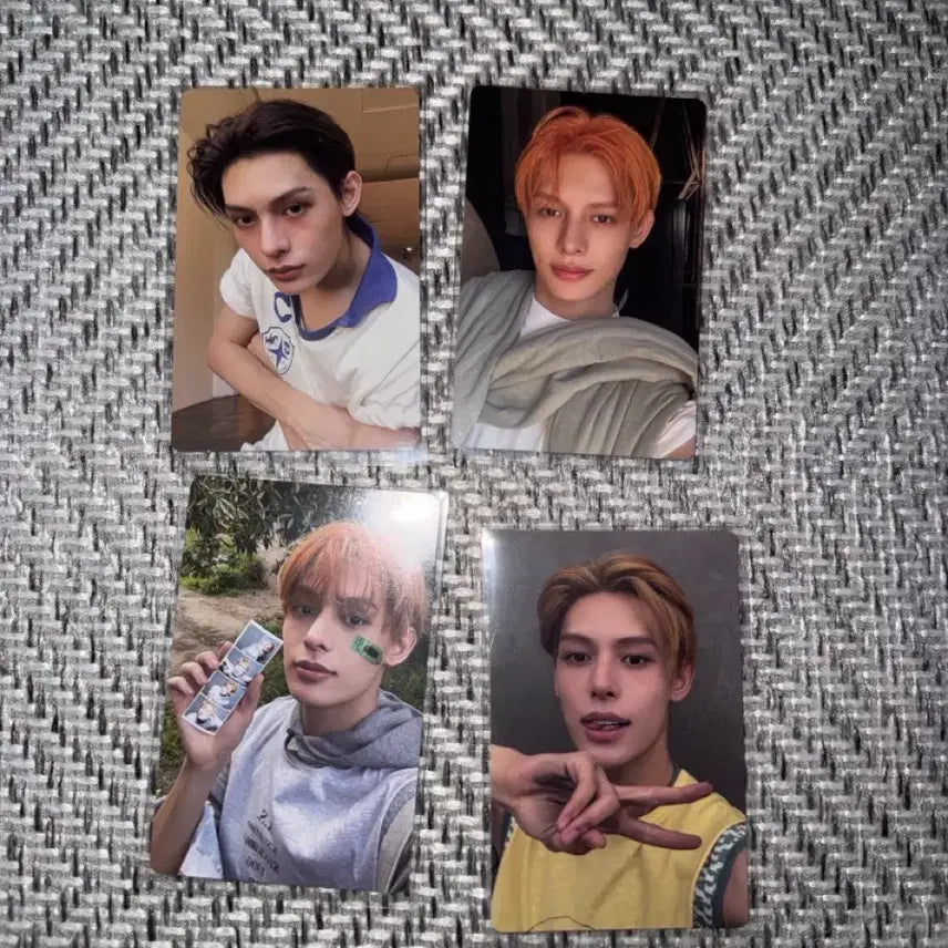 코르티스 앨포 제임스 판매