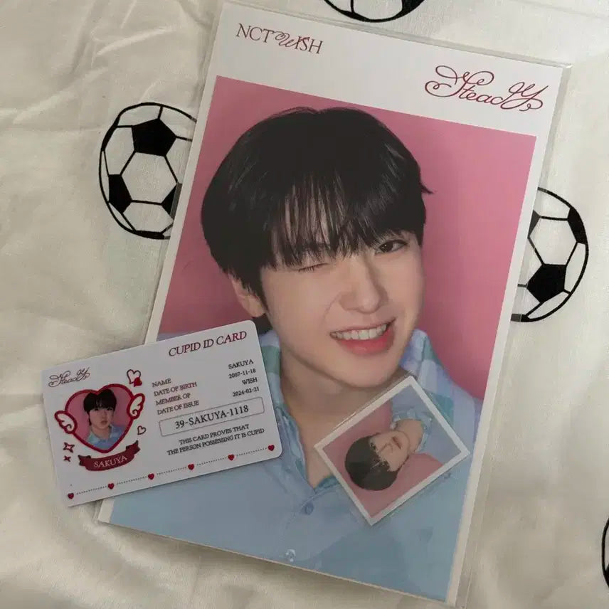 엔시티 위시 사쿠야 스테디 팝업 md 포토세트 증사 아이디카드