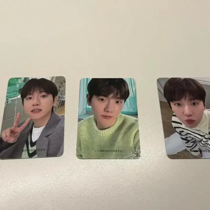 백현 브링그린 포카 일괄