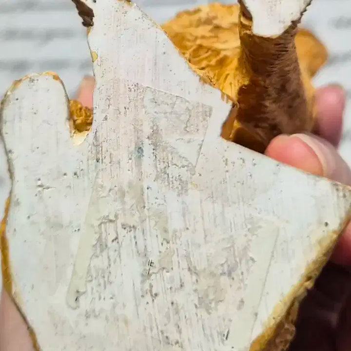 빈티지 골든 리트리버 피규어 겸 메모꽂이