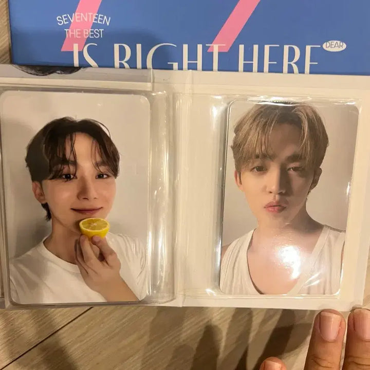 세븐틴 캐럿반 디노