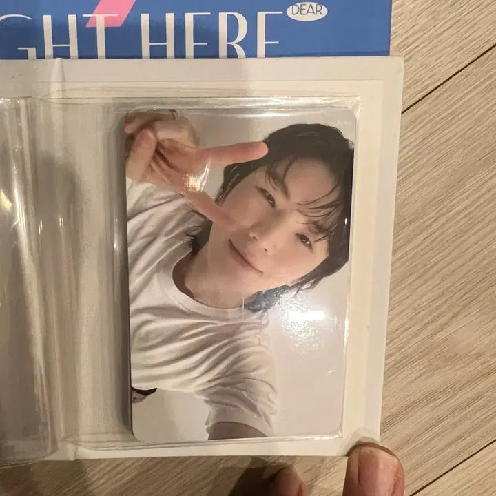 세븐틴 캐럿반 디노