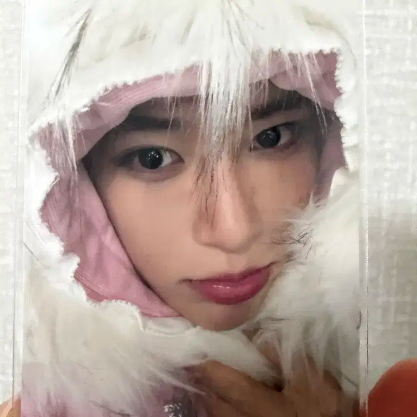 엔시티위시 컬러 초회한정 포토북 시온 포카