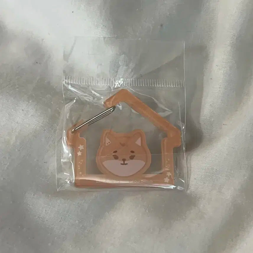 데이식스 데식 영케이 케 카라비너 쁘띠멀즈 쁘멀 미개봉