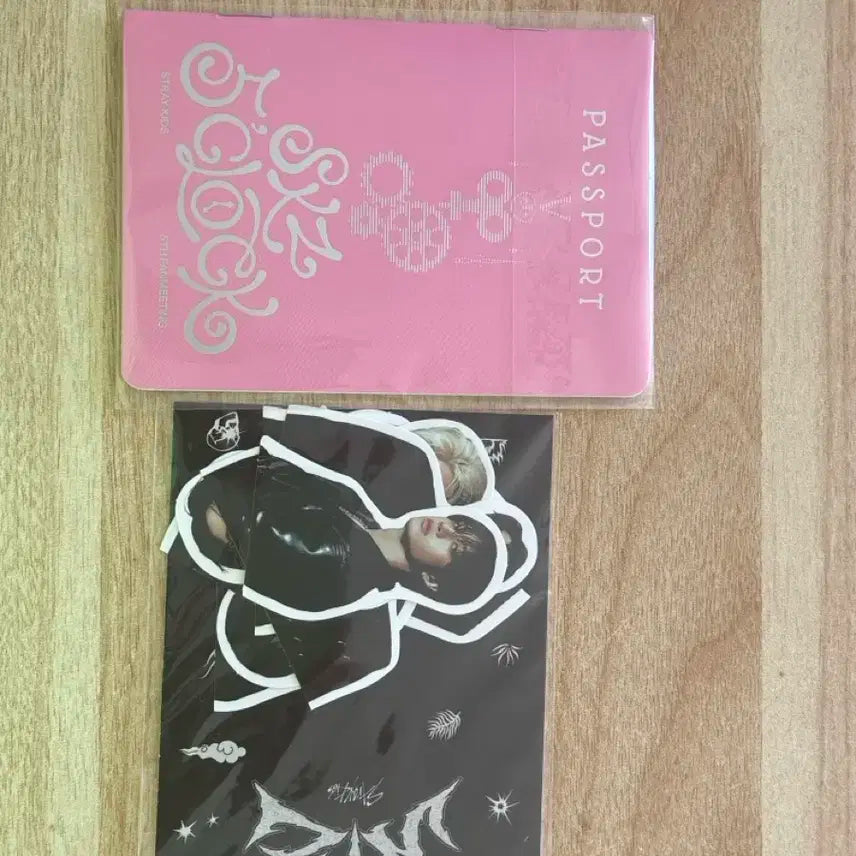 Stray Kids 스키즈 팬미팅 여권 + 스티커