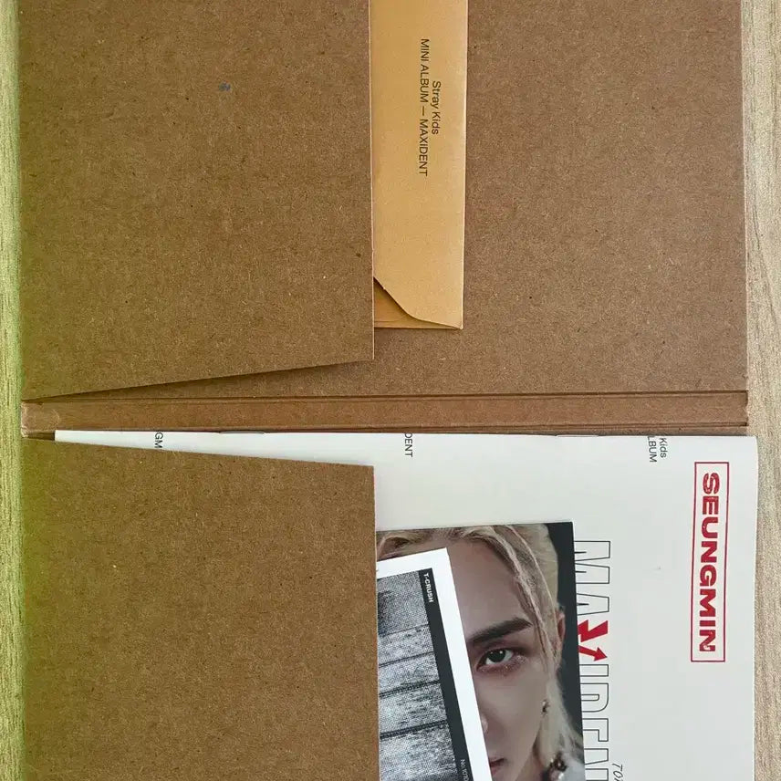 Stray Kids 맥시던트 승민 앨범