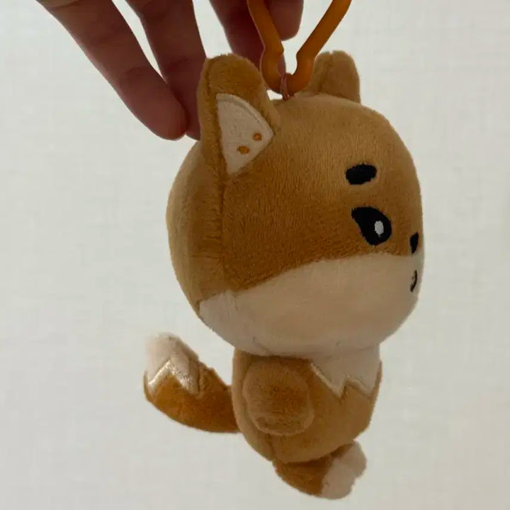 데이식스 데니멀즈 케 22 (구버전)