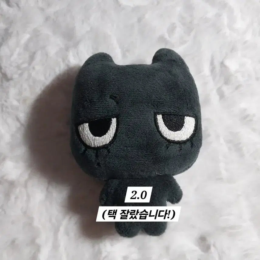 태냐코 양도해요