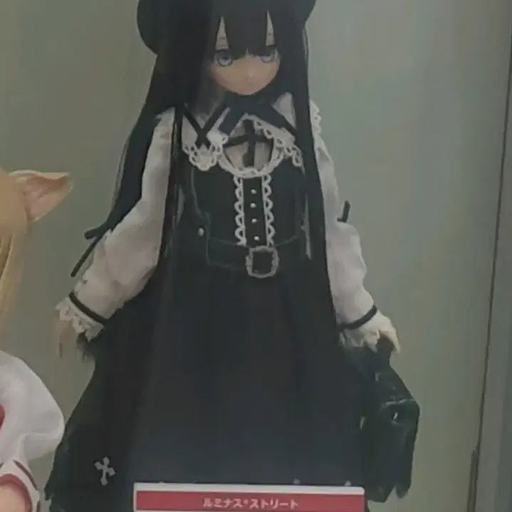 아존돌 루미나스 스트리트 mii 미개봉 아존샵(azone doll)