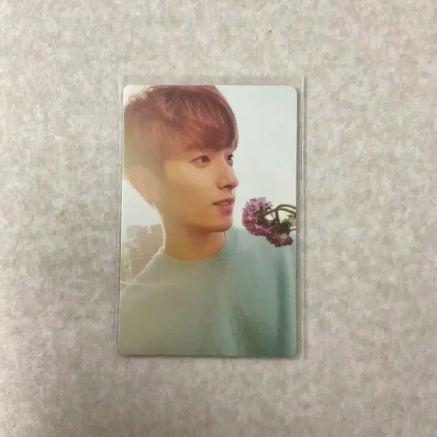 세븐틴 박화겸 도겸 포카 판매