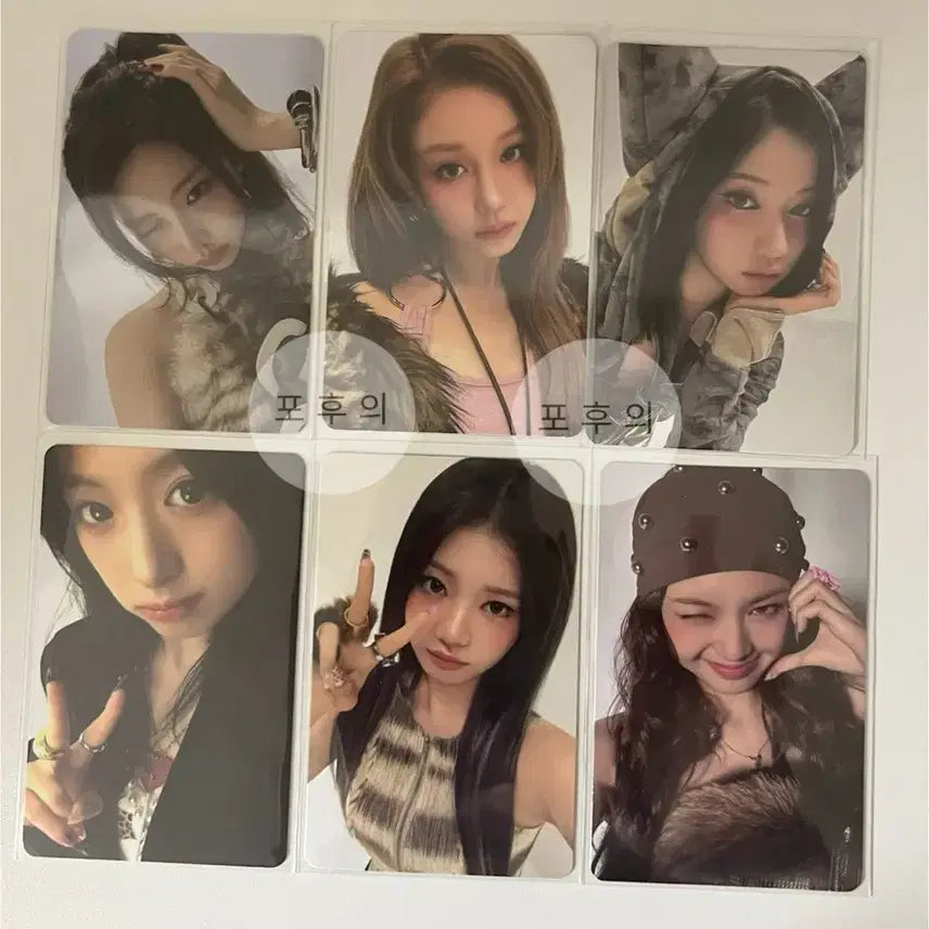 베이비몬스터 we go up 헬로82 단독 포카 세트