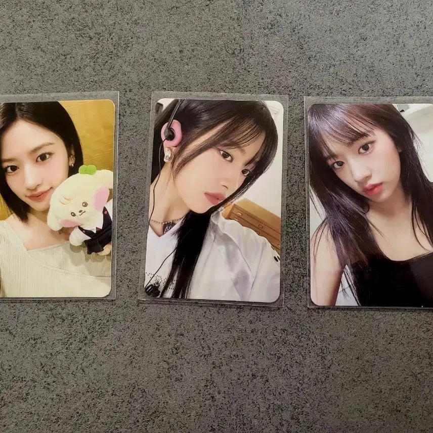 아이브 유진포카 일괄판매