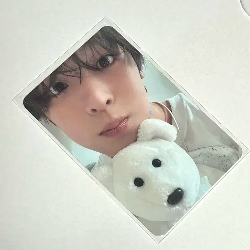 반택포) 하자 없음 엔시티 위시 리쿠 스테디 포카