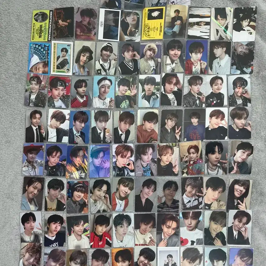 보이넥스트도어 운학 포카 양도 성호리우재현태산이한운학