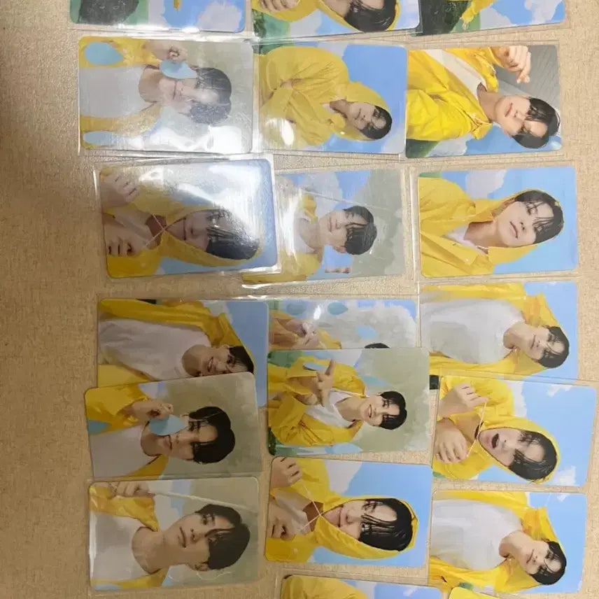 세븐틴 호시포카