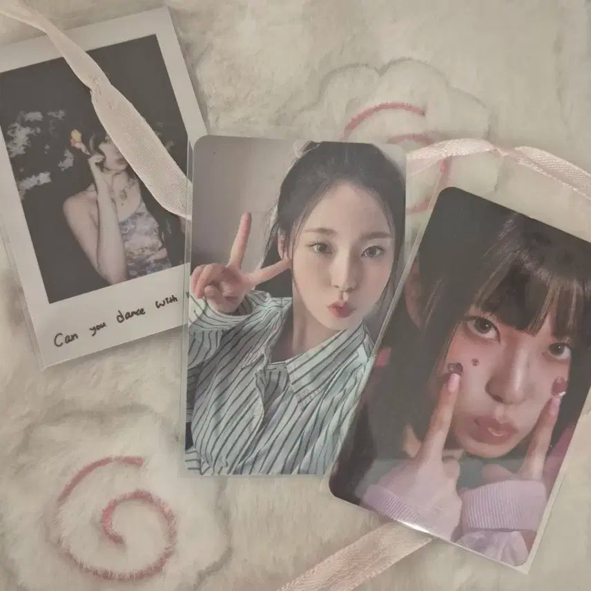 엔믹스 Nmixx 앨범포카