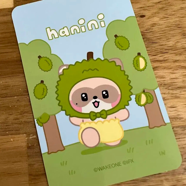 하니니 장하오 포카