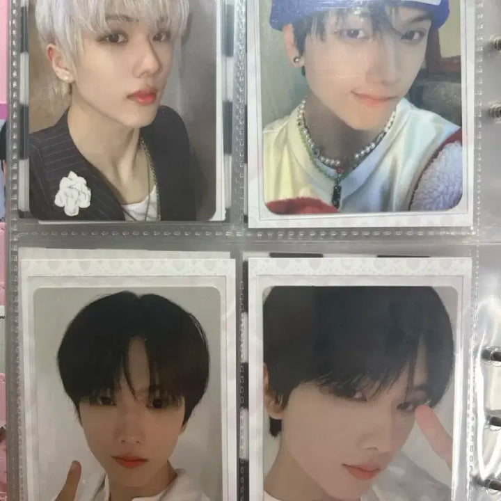 엔시티 지성 포카판매