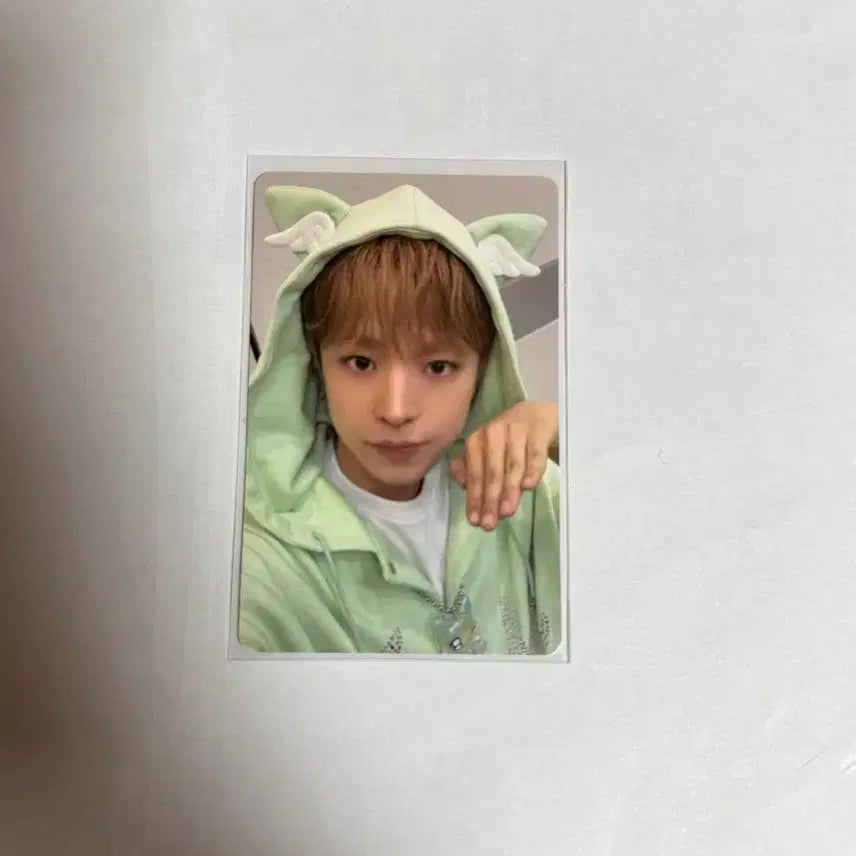 유우시 포카 양도 아잉 유우시