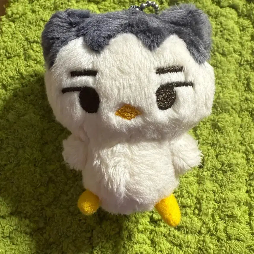 쭌아리