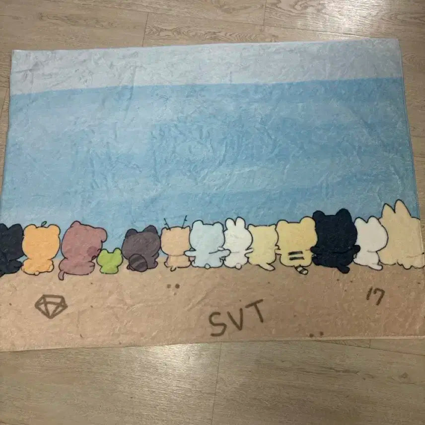 세븐틴 단체 담요 비공굿 속초 양도