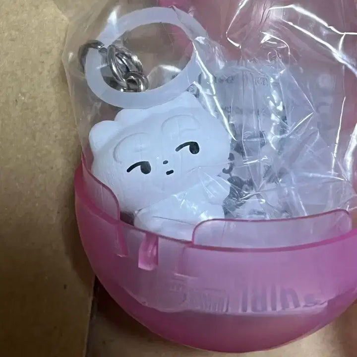 2๊ฐ์ธํธ)๋ชจ๋จ๊ฑธ ๋ฉ์ง๋ฃจ์ ํํฌ ํ๋ ๊ต์์งฑ ๋ชจ๋จ์นํ ํผ๊ท์ด ํค๋ง