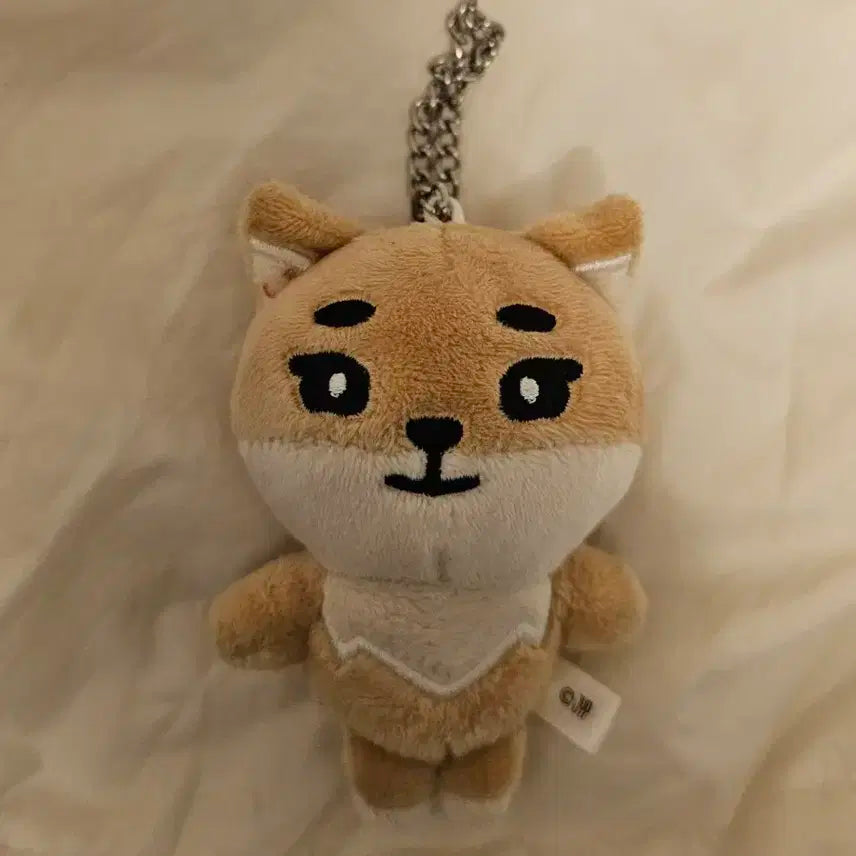 데니멀즈 일본 MD 백참 케