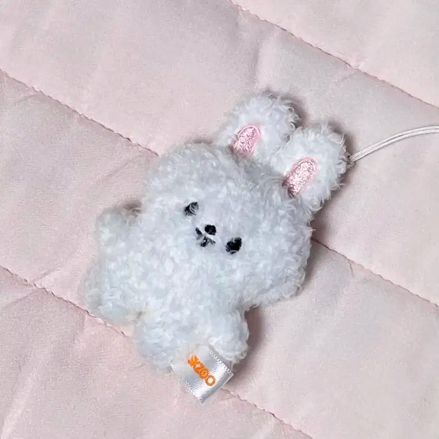 스트레이키즈 리노 스키주 마이크로 리빗