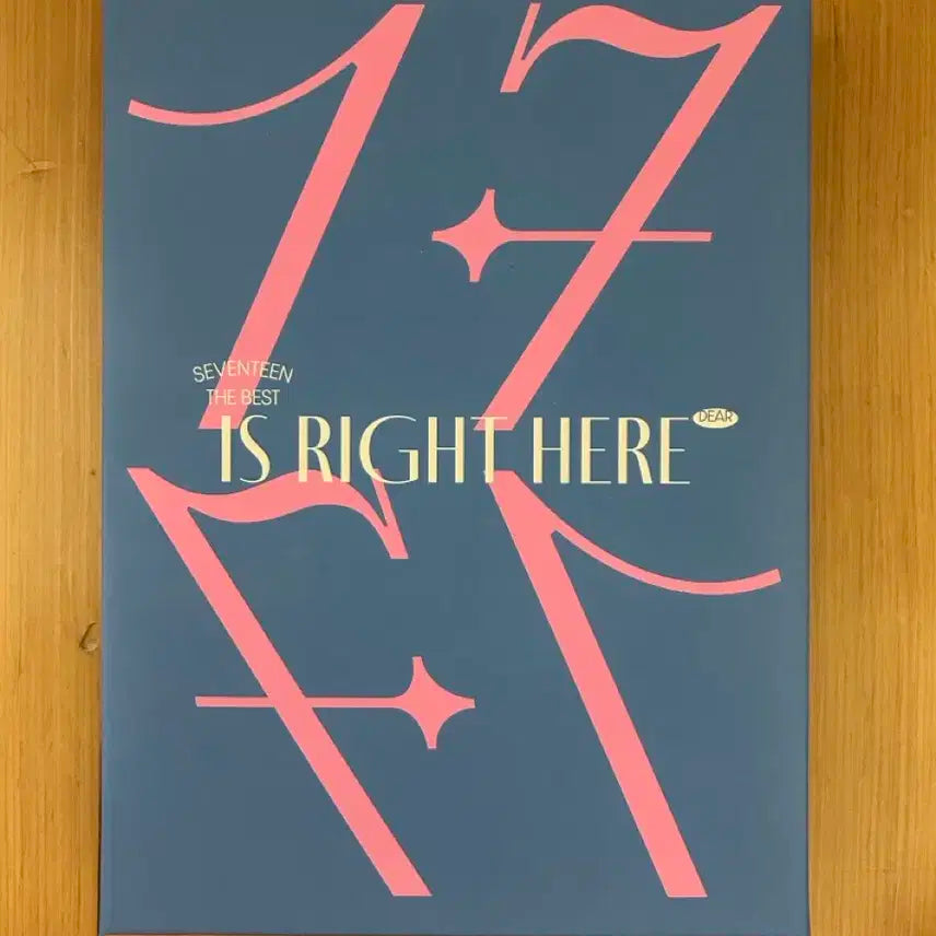 세븐틴 캐럿반 도겸