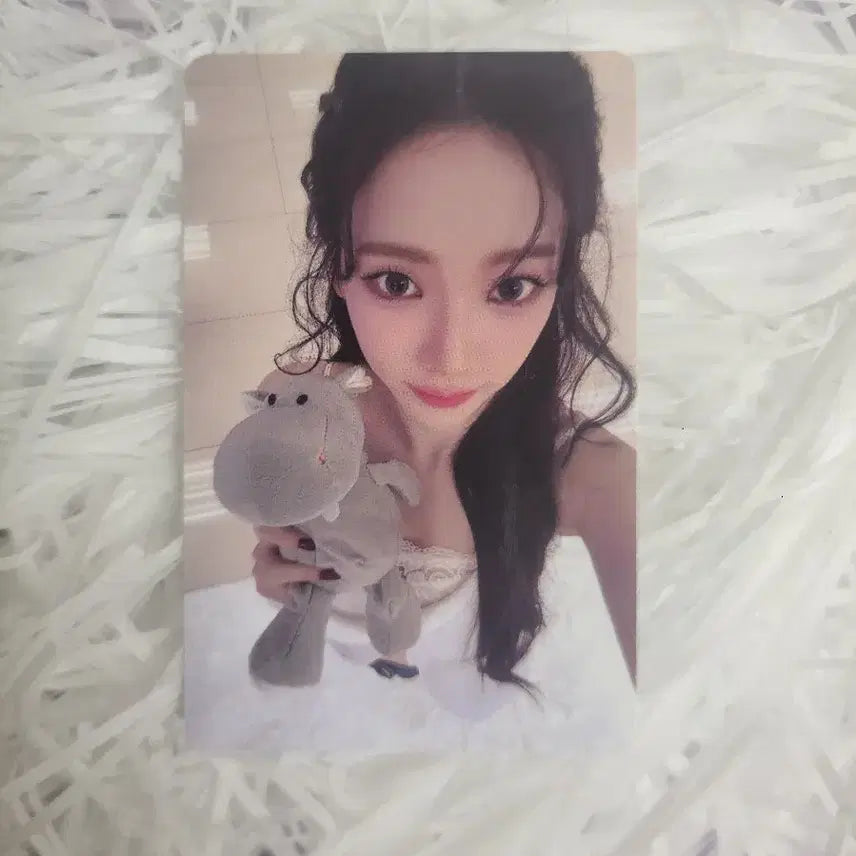 에스파 위플래시 타워레코드 카리나 특전 포카