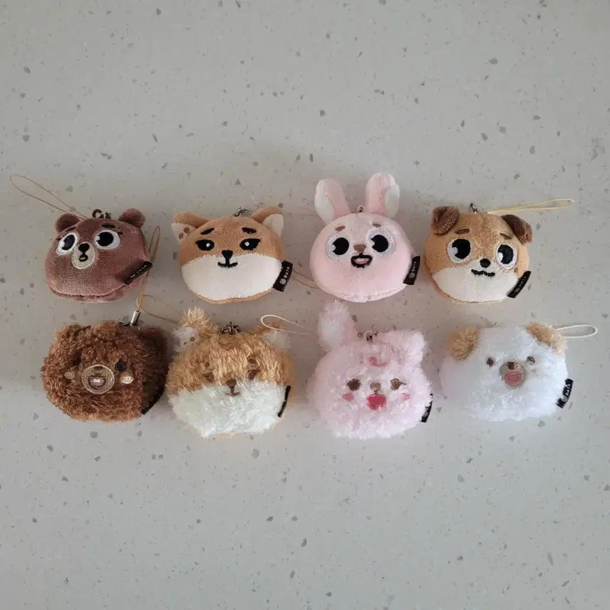 데이식스 시크릿키링 일괄판매