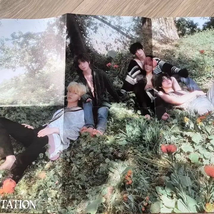 투바투 앨범 모음 세트