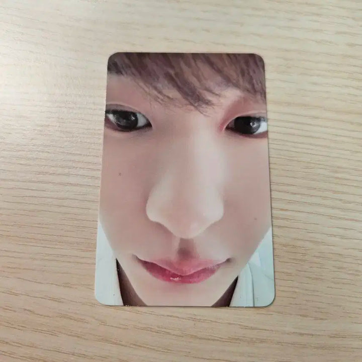 앤톤 얼빡 발렌타인 포카