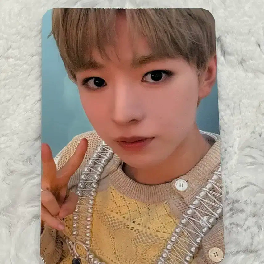 엔시티위시 컬러 예스24 예사 미공포 유우시 포카